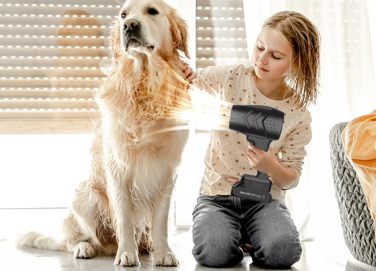 Trådløs Kraftig Blåser