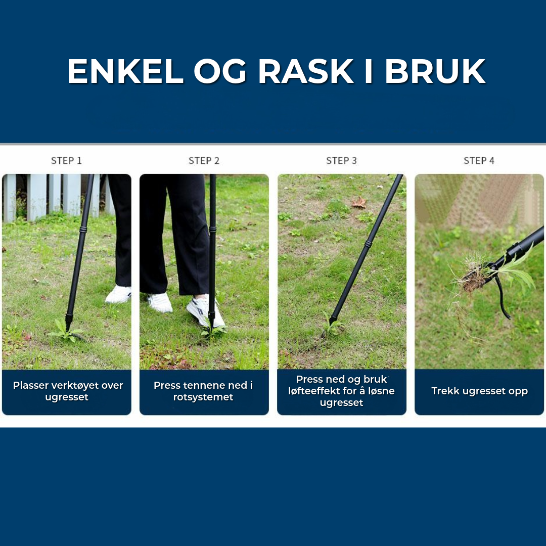 Profesjonell Ugressfjerner