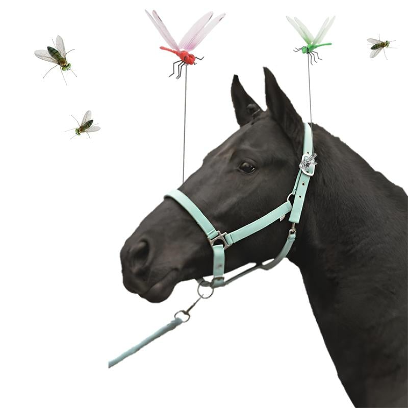 Stilfull Øyenstikker Myggavviser