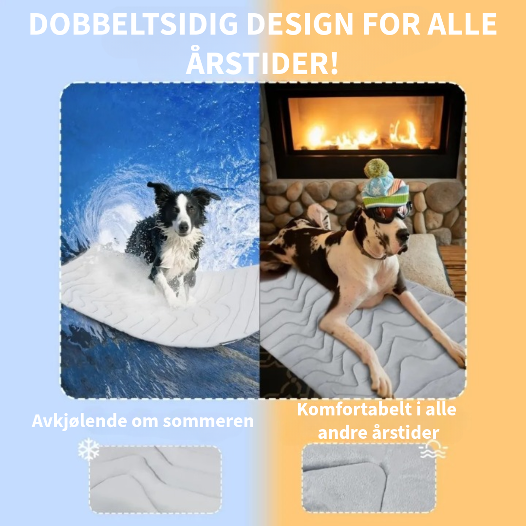 Innovativ Kjøledeke for Kjæledyr