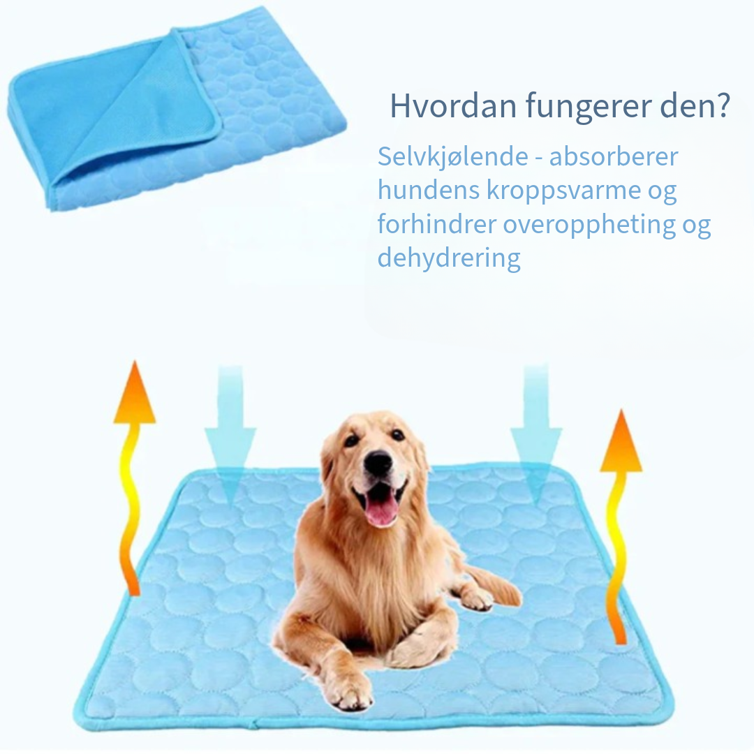 Innovativ Kjøledeke for Kjæledyr