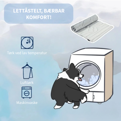 Innovativ Kjøledeke for Kjæledyr