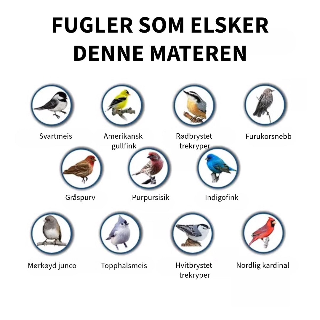 Anti-ekorn fuglemater